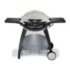 Weber Q Series 3200 Grill | 57060001